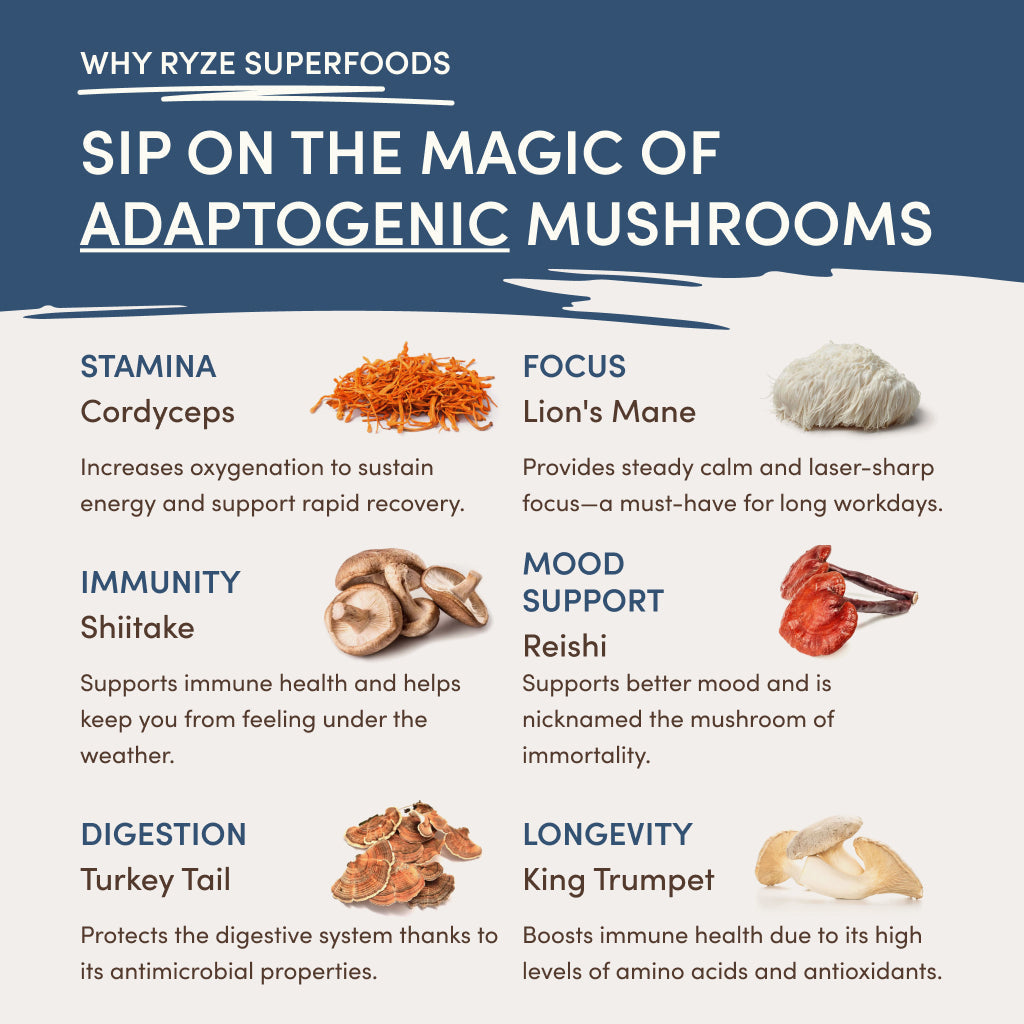 RYZE Nighttime Mushroom Cocoa Starter Bag B8