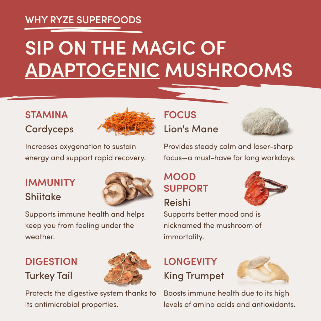 RYZE Mushroom Chai Starter Bag A1
