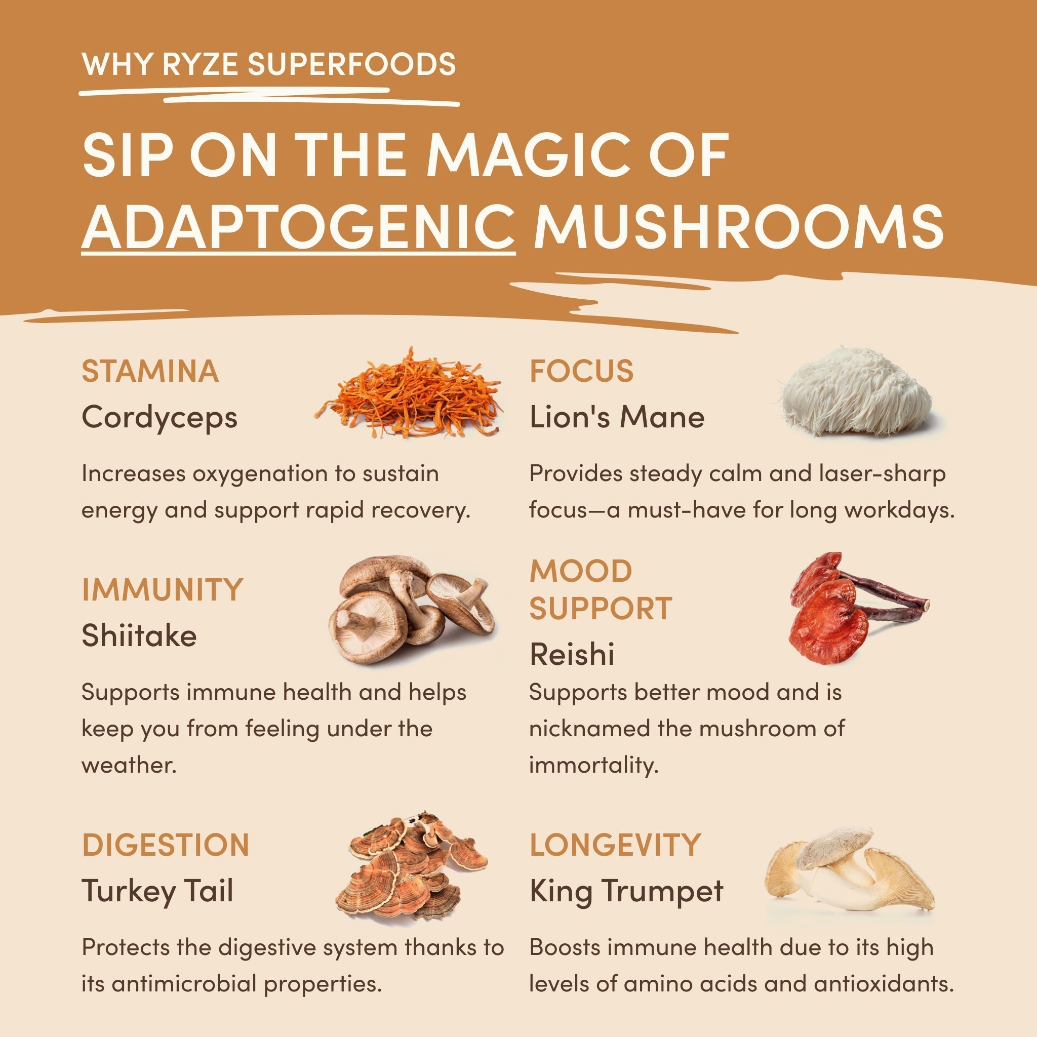 Mushroom Overnight Oats (14 Servings) W1