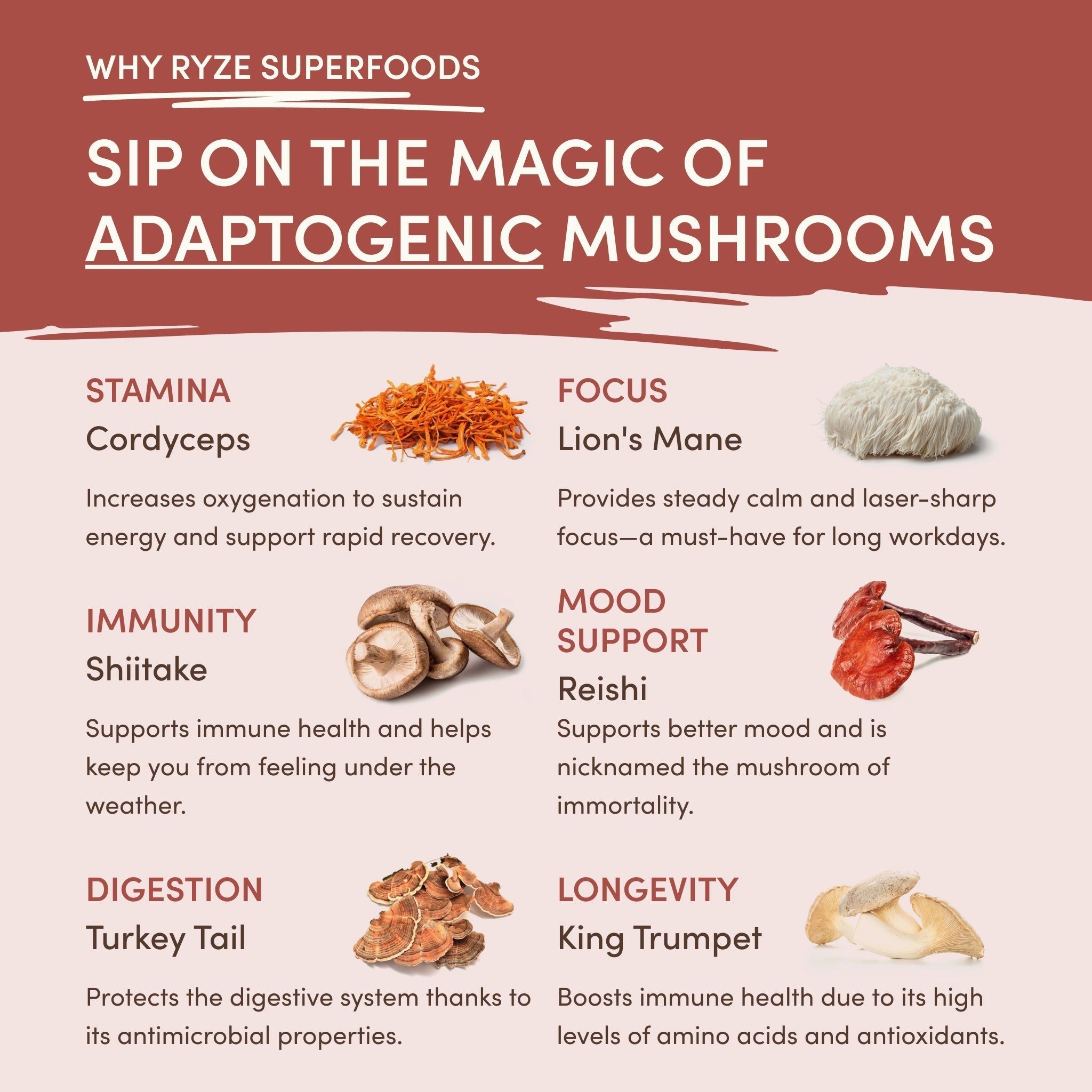 RYZE Mushroom Chicory — Organic Instant Chicory with Shitake & Lions mane, 30 Servings V0