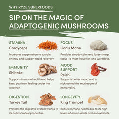 RYZE Mushroom Matcha — Organic Instant Matcha Latte with Lion's Mane & King Trumpet, 30 Servings T5