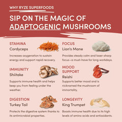 RYZE Mushroom Chai — Organic Instant Chai with Reishi & Organic Black Tea, 20 Servings P0