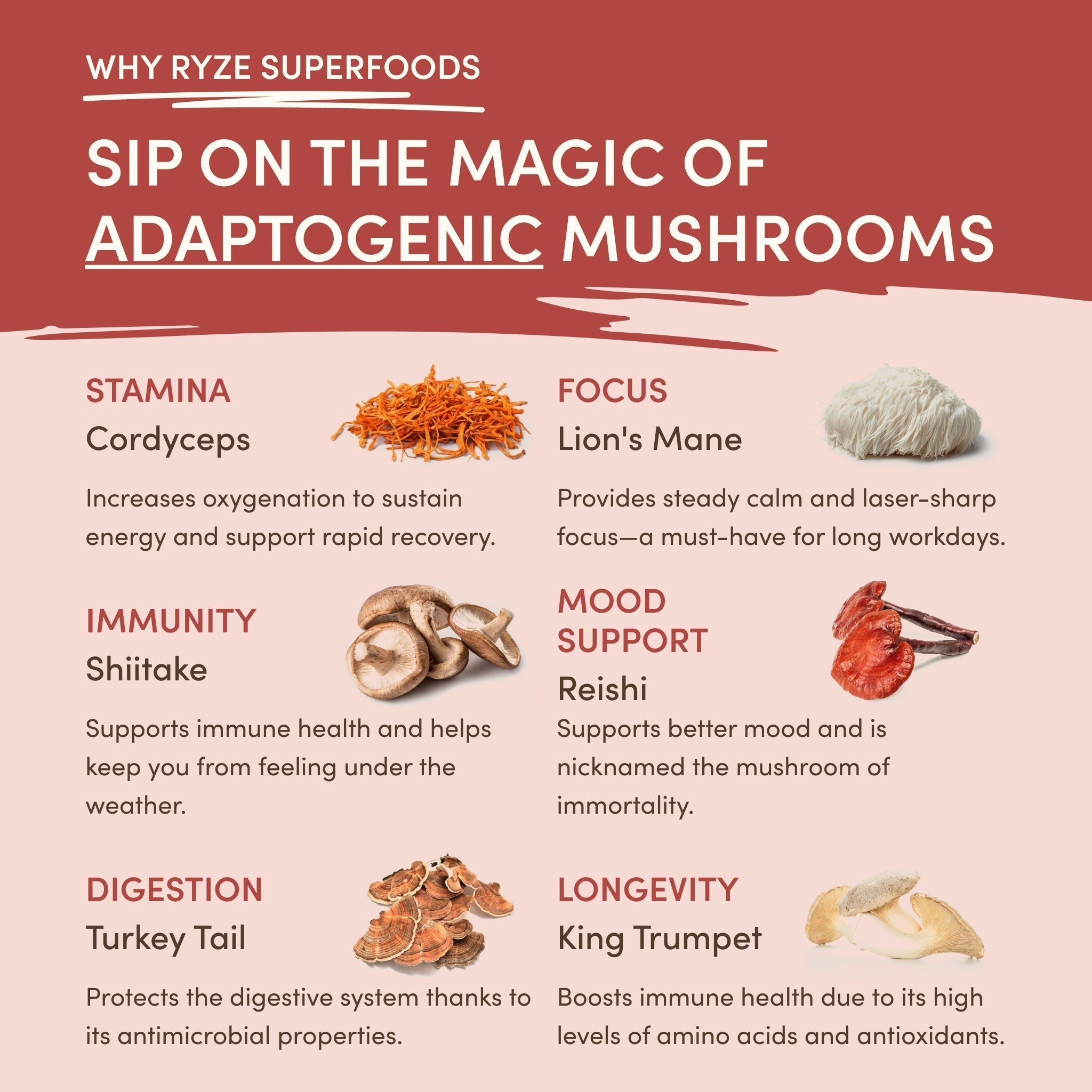 RYZE Mushroom Chai — Organic Instant Chai with Reishi & Organic Black Tea, 20 Servings P0