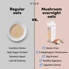 Mushroom Overnight Oats Pack (14 Servings) R2