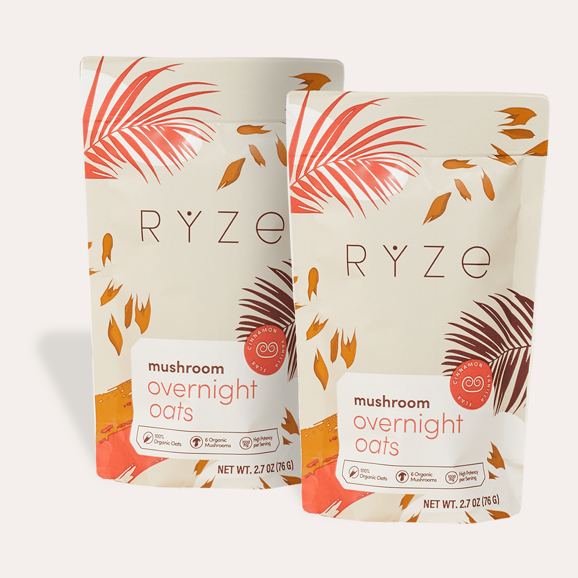 Mushroom Overnight Oats Pack (28 Servings) C4