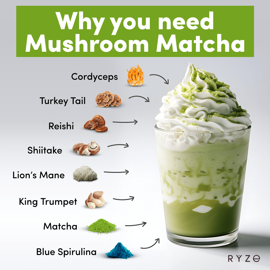 RYZE Organic Mushroom Matcha Starter Kit (60 servings) H3